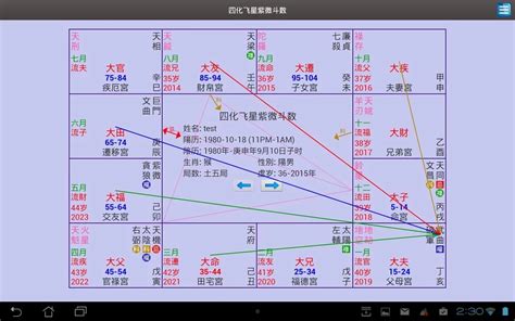 四化星入十二宮詳解|【紫微在北】斗数之魂